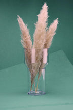 Holy Grail 40 cl Set of 6 Tritan