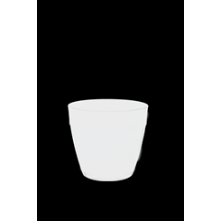 FR3 Opal (Conjunto de 6)