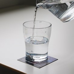 1/2 PINT (conjunto de 6)