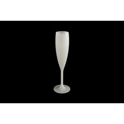 Champagne Flute Terra 9 Opal (set of 6)
